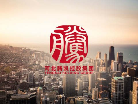 河北騰凱控股集團(tuán)-投融資類網(wǎng)站建設(shè)定制開(kāi)發(fā)