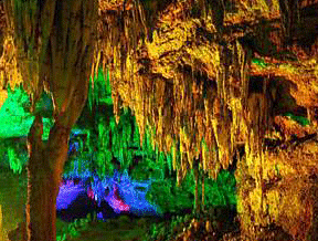 �W(w��ng)վ���O(sh��)����